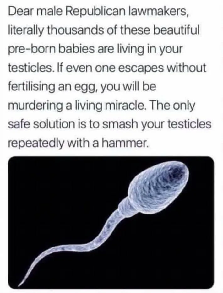 abortion meme