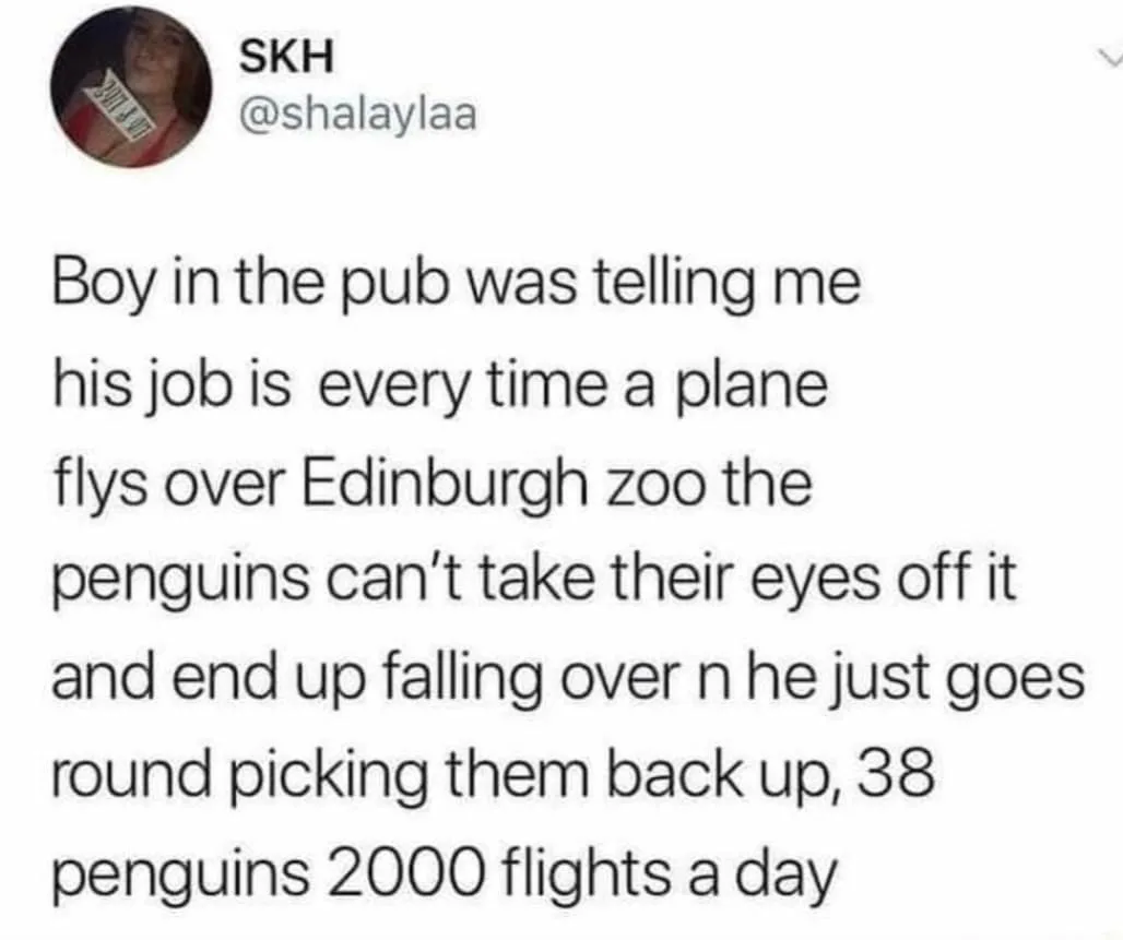 zoo meme