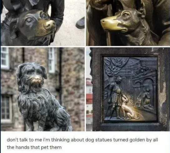 dog lover meme