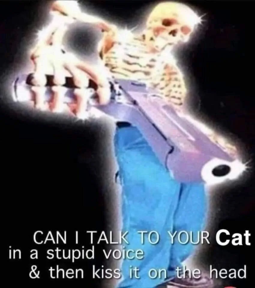 cat lover meme