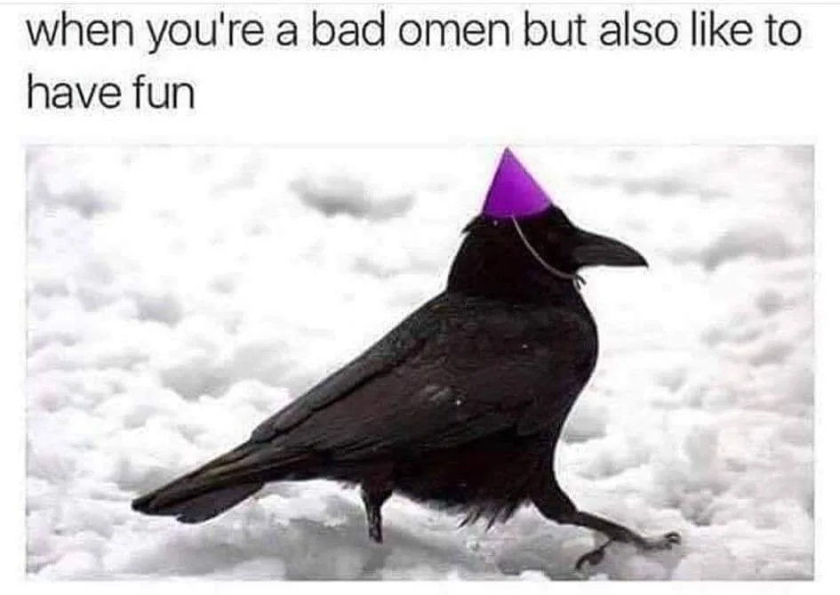 crow meme