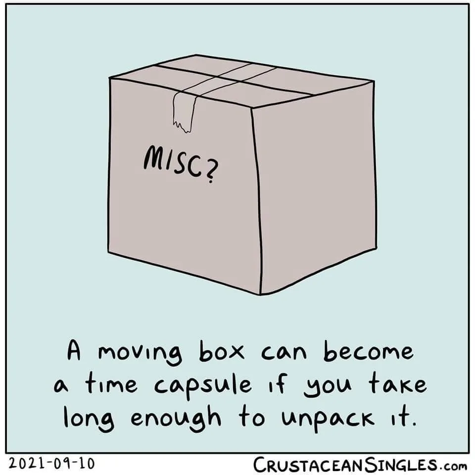 moving (relocating) meme
