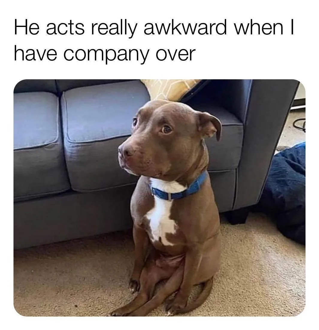 social awkwardness meme