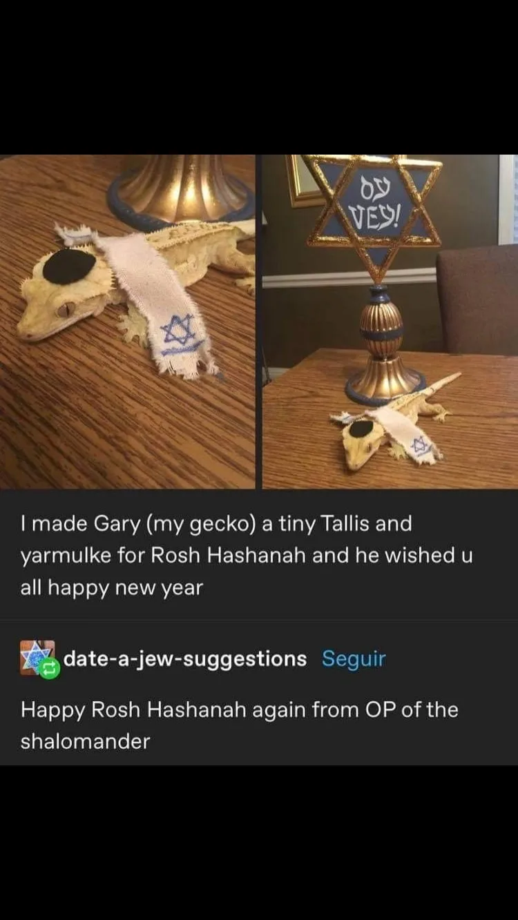 Gecko meme