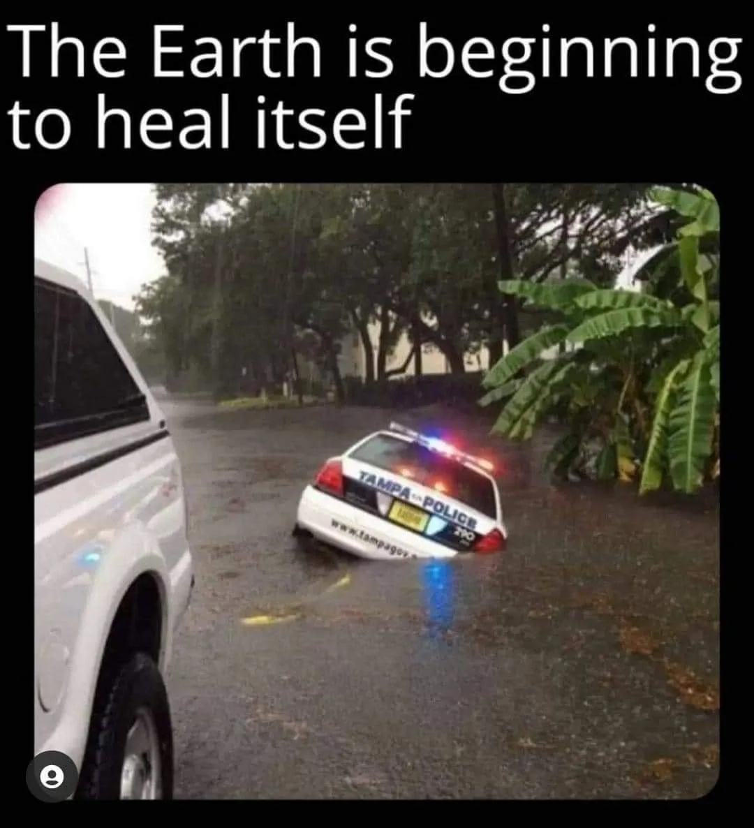 defund the police meme
