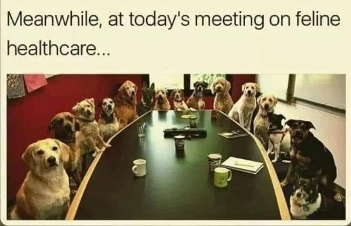 representation meme