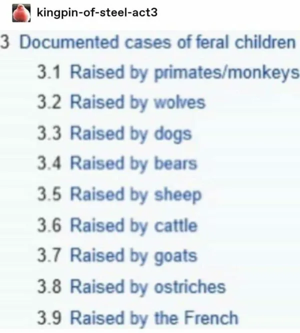 feral child meme