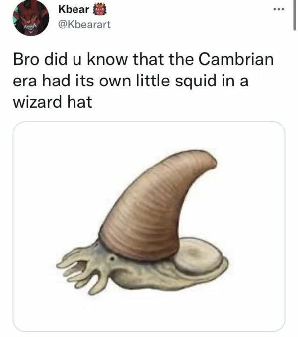 snail meme