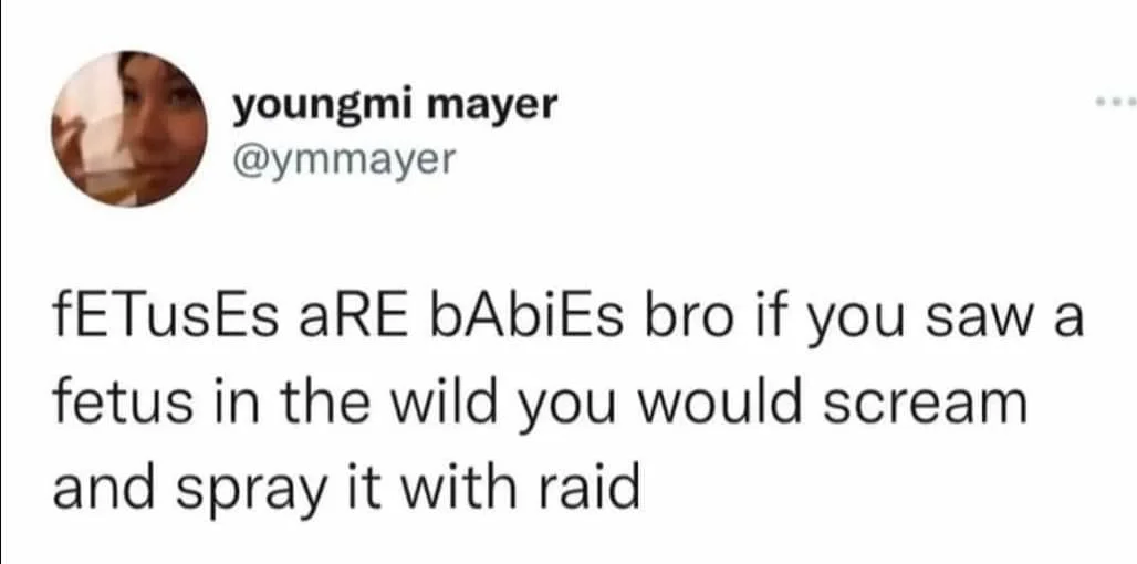 fetus meme