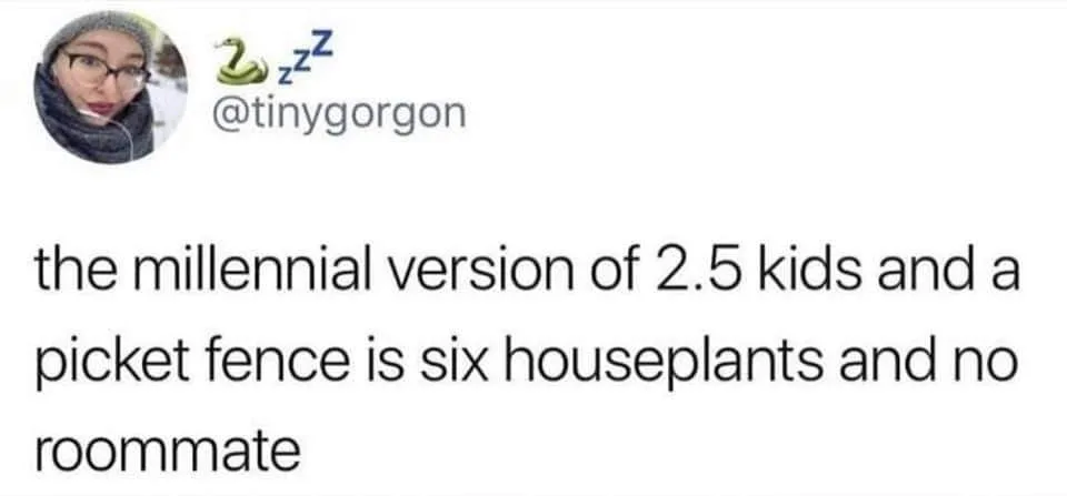 American dream meme