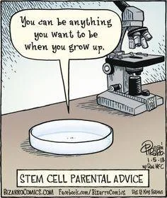 stem cell meme