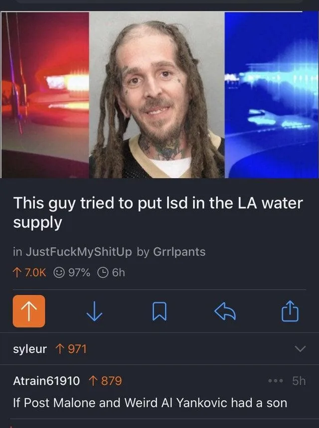 Weird Al Yankovich meme
