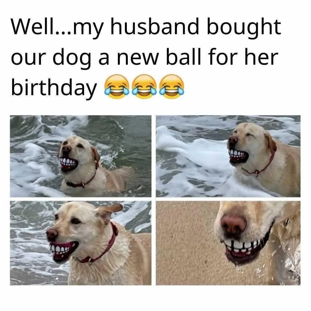 fetch meme