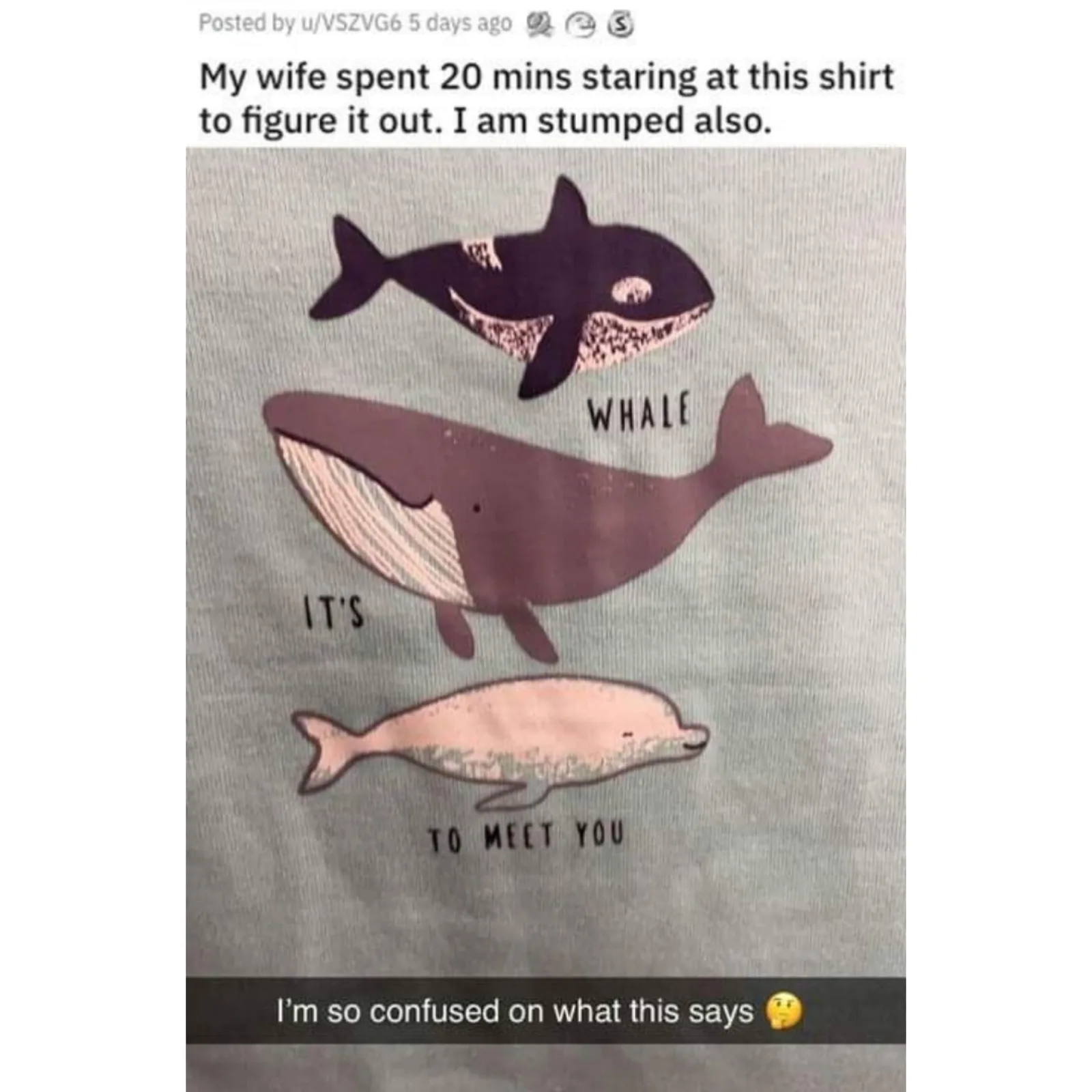 whale meme