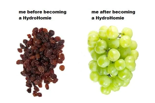 drinking water meme