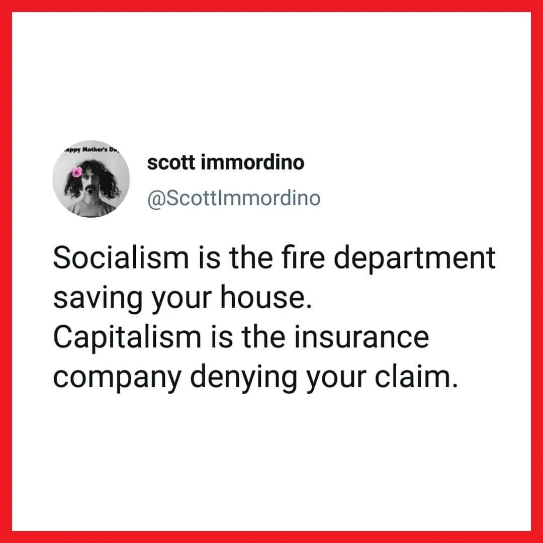 insurance meme
