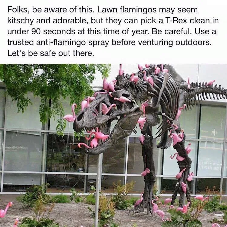 T-Rex meme