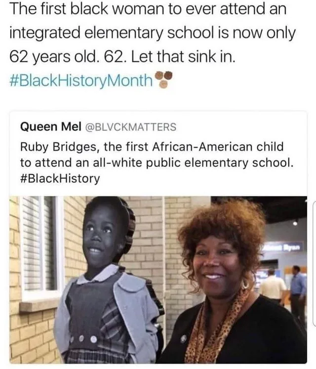 segregation meme