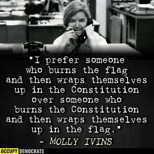 flag burning meme