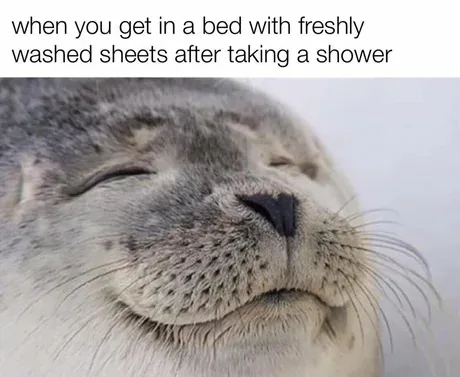 bedsheet meme