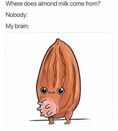 almond milk meme