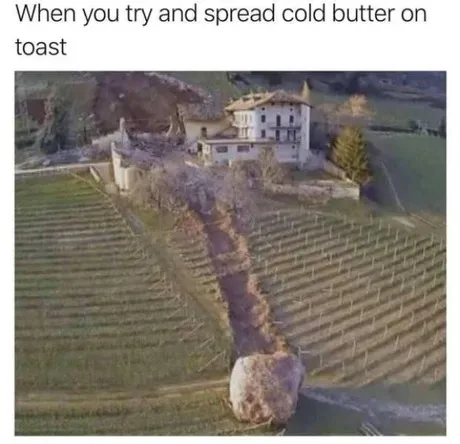 toast meme