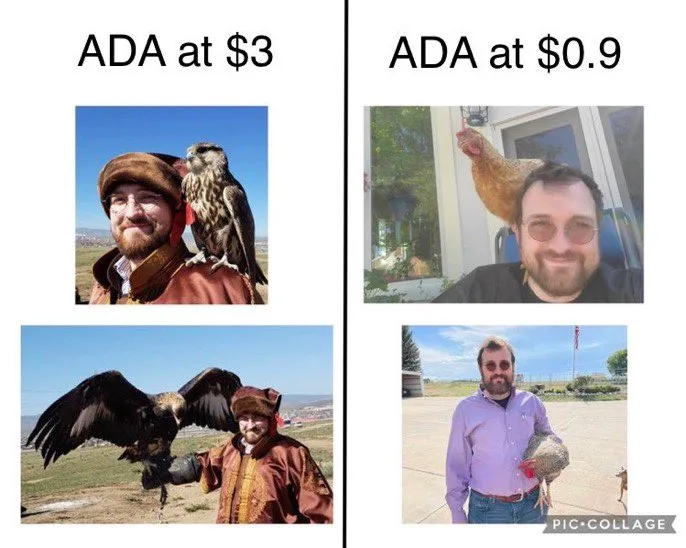 Cardano (ADA) meme