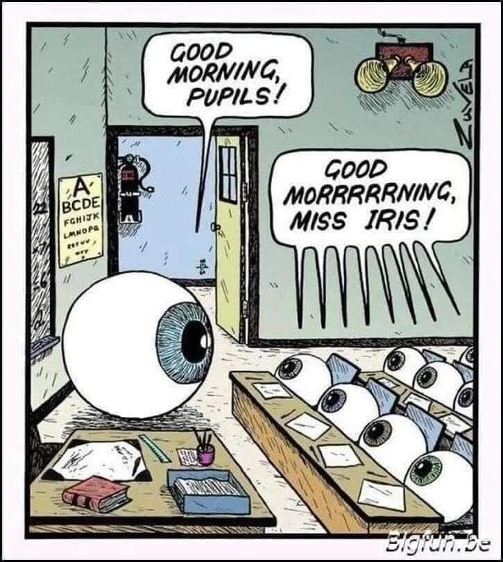 teaching meme