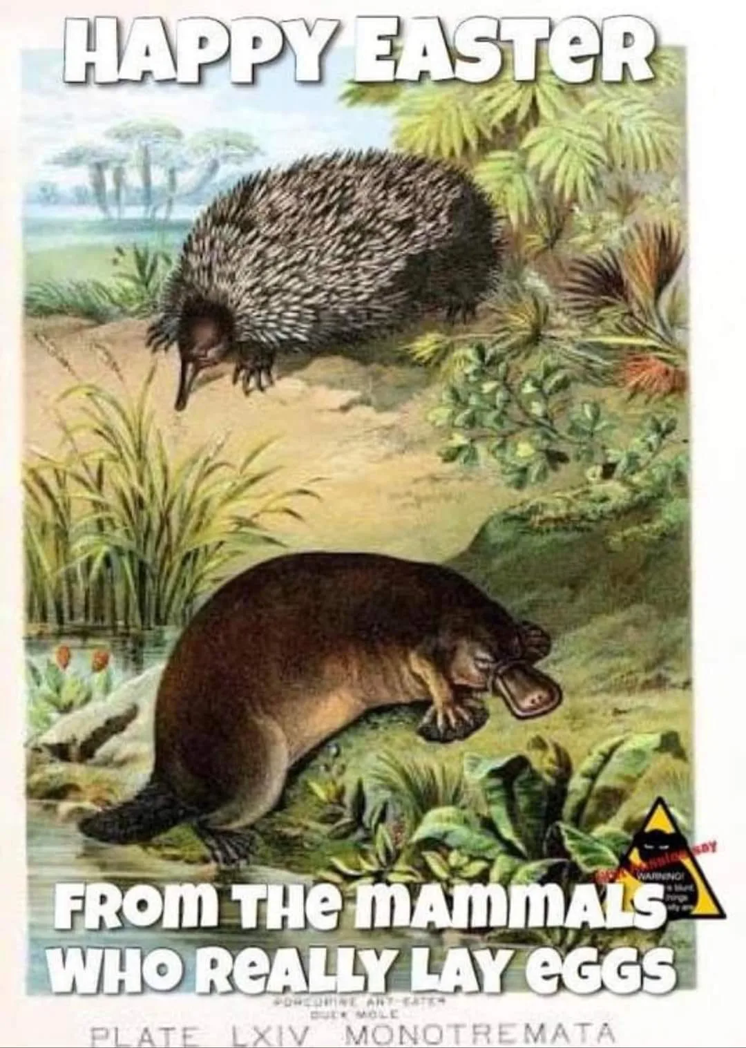 Easter meme