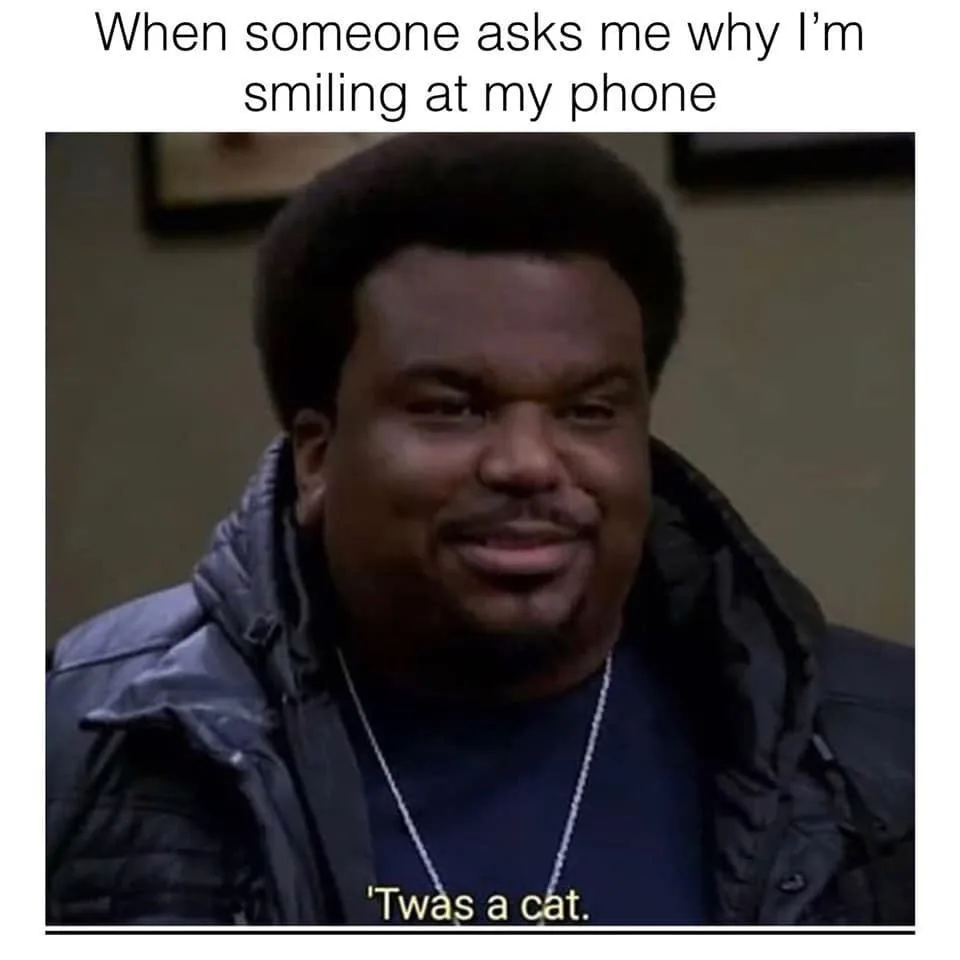 cat lover meme