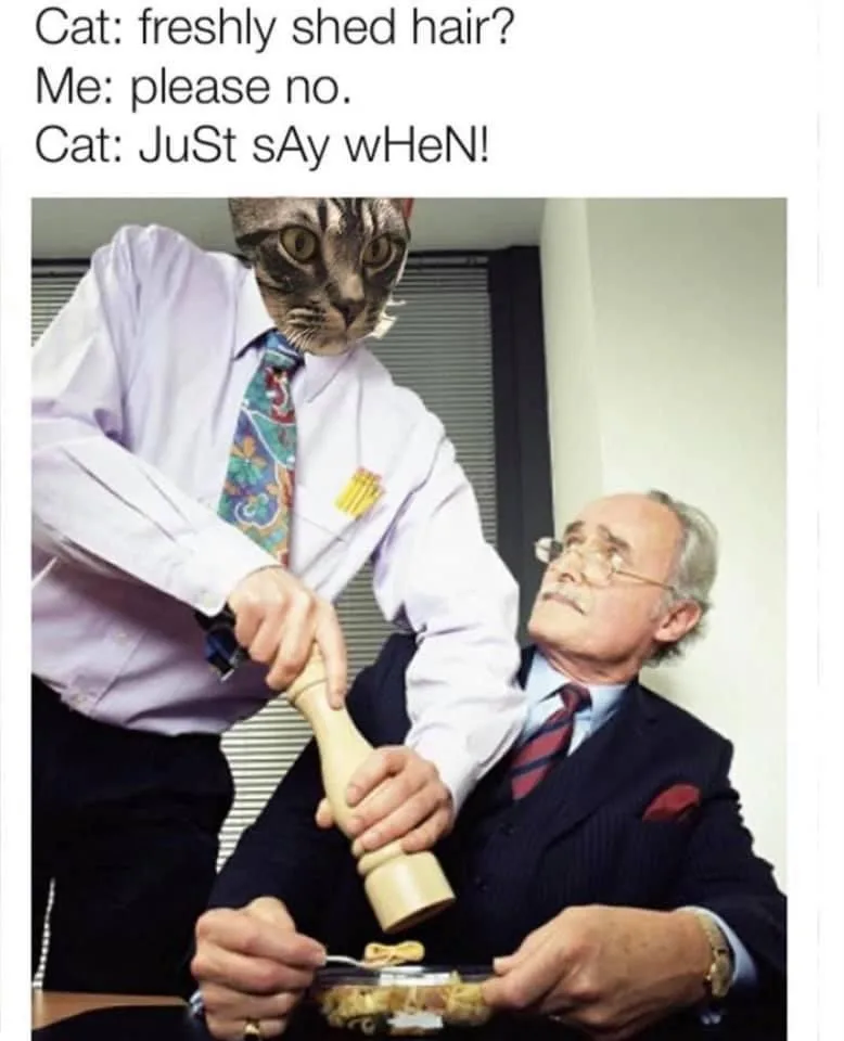fur meme