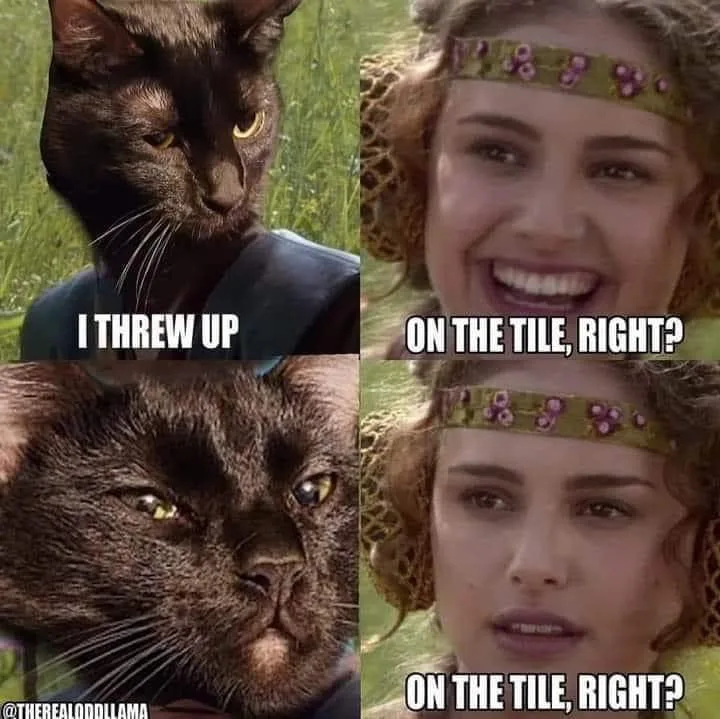 throwing up meme