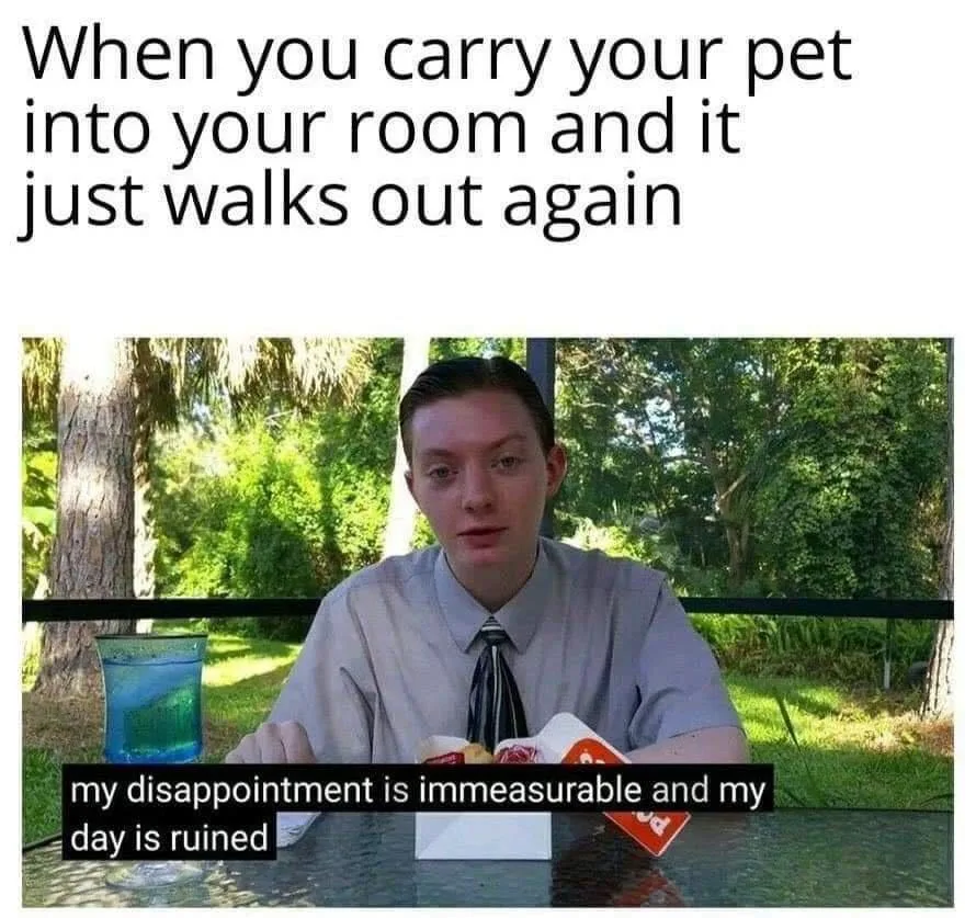 dog lover meme