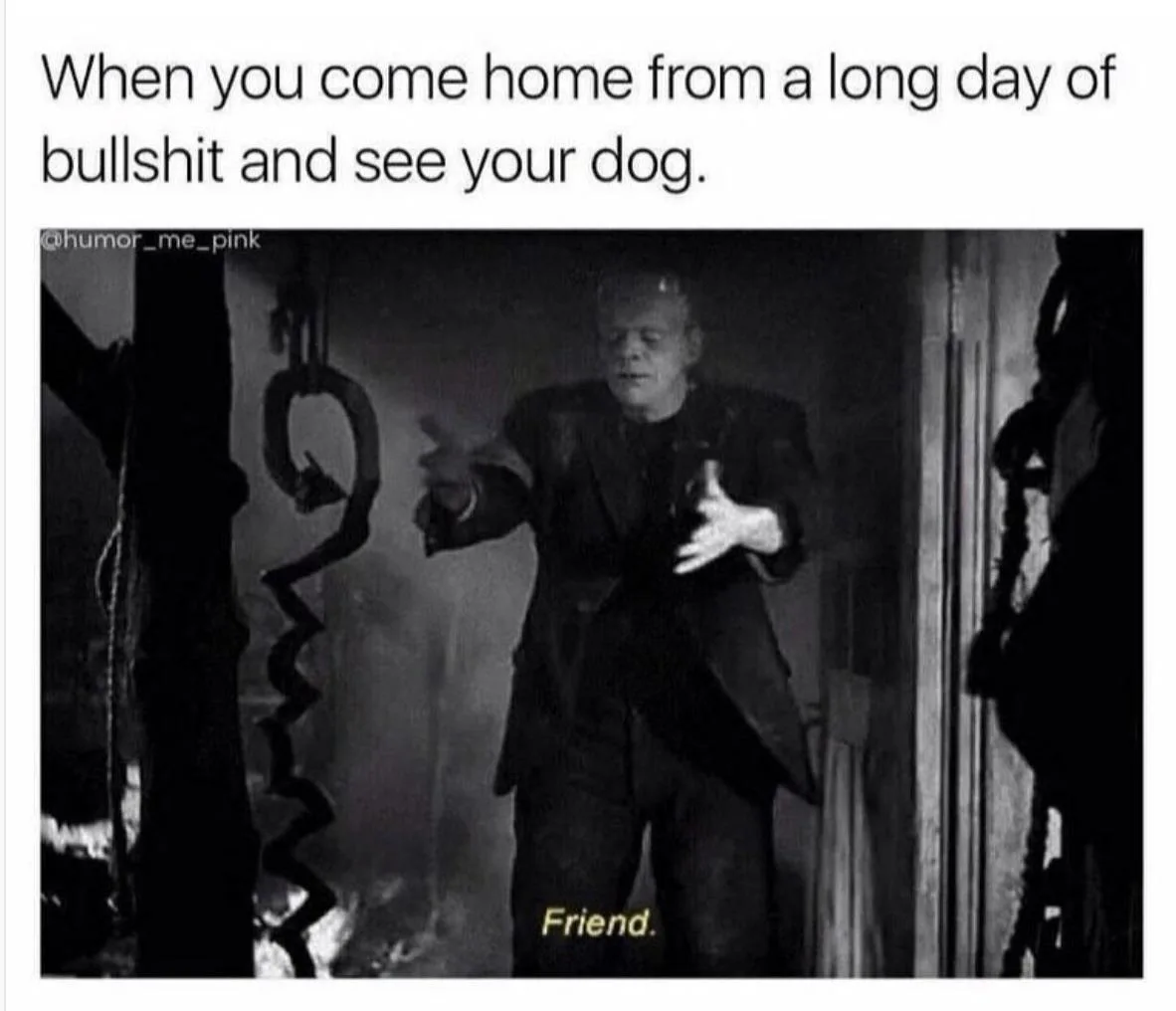 bullshit meme