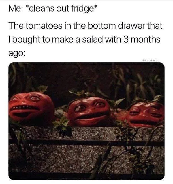 refrigerator meme