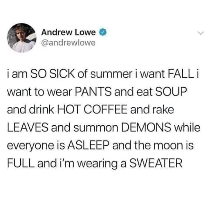 sweater meme