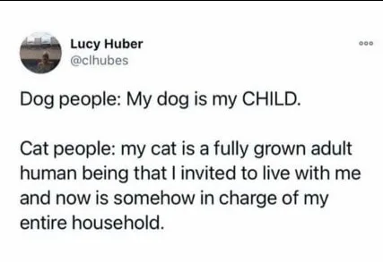 dog lover meme