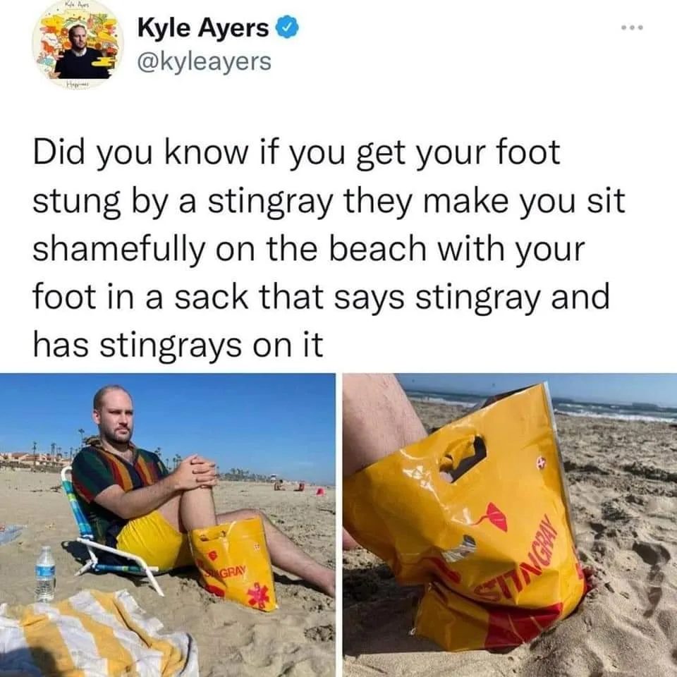 stingray meme