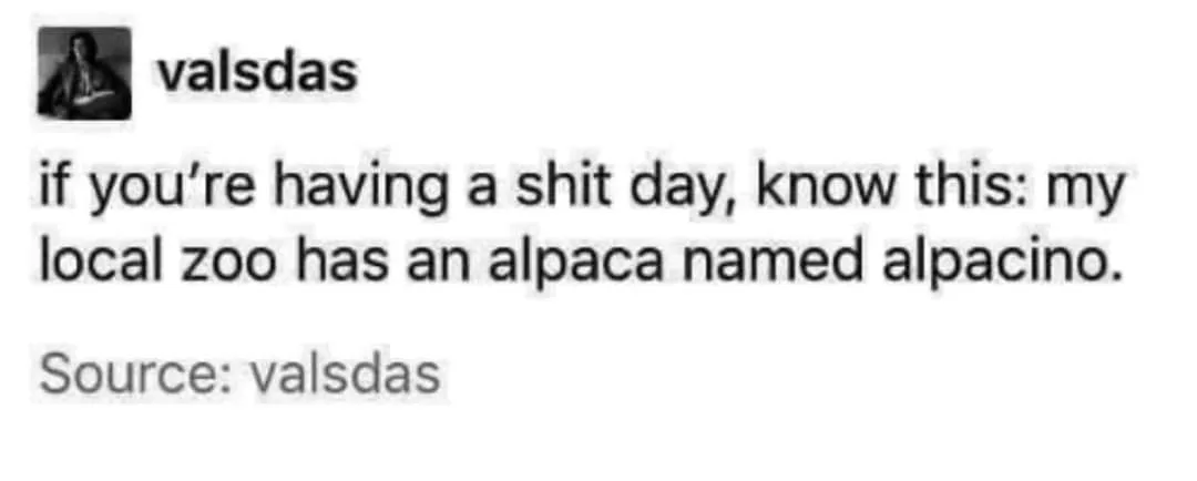 alpaca meme