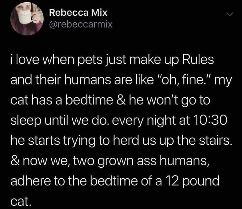 bedtime meme