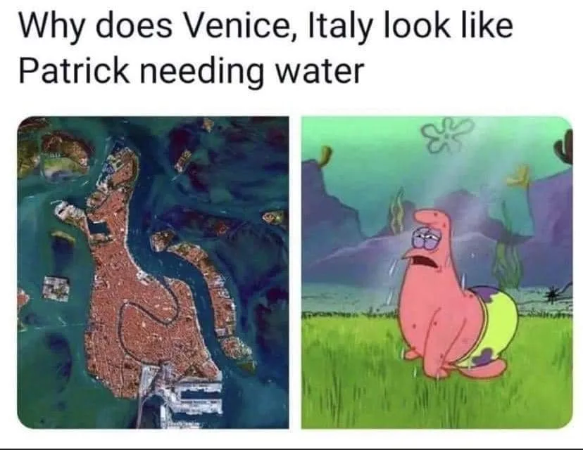 Venice meme