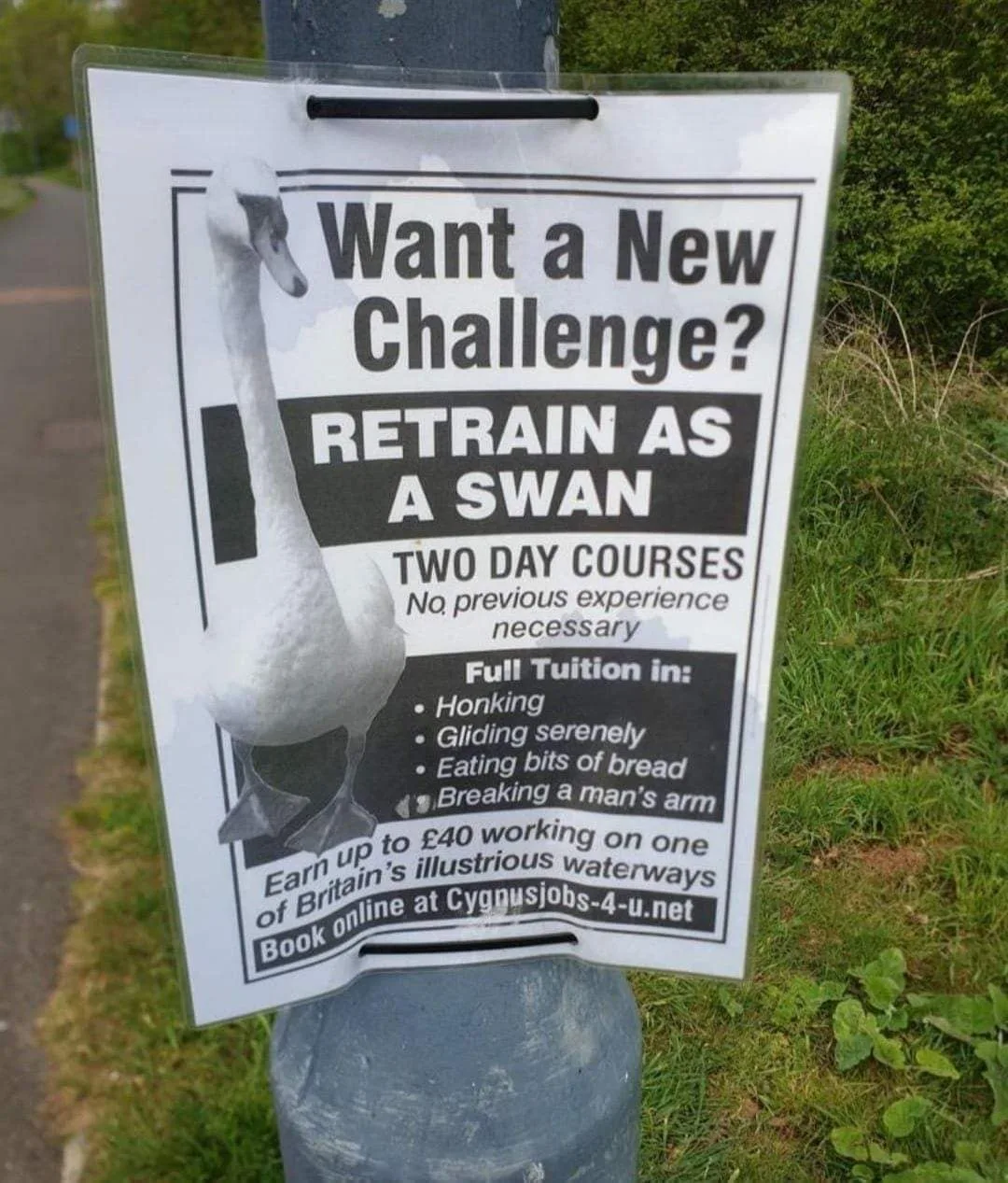 changing jobs meme