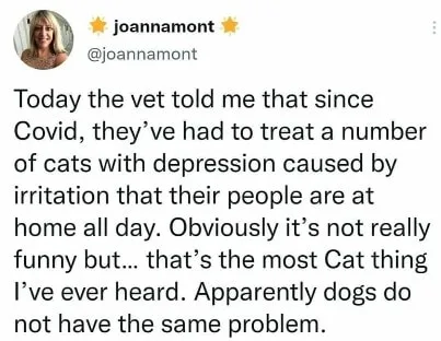 veterinarian meme