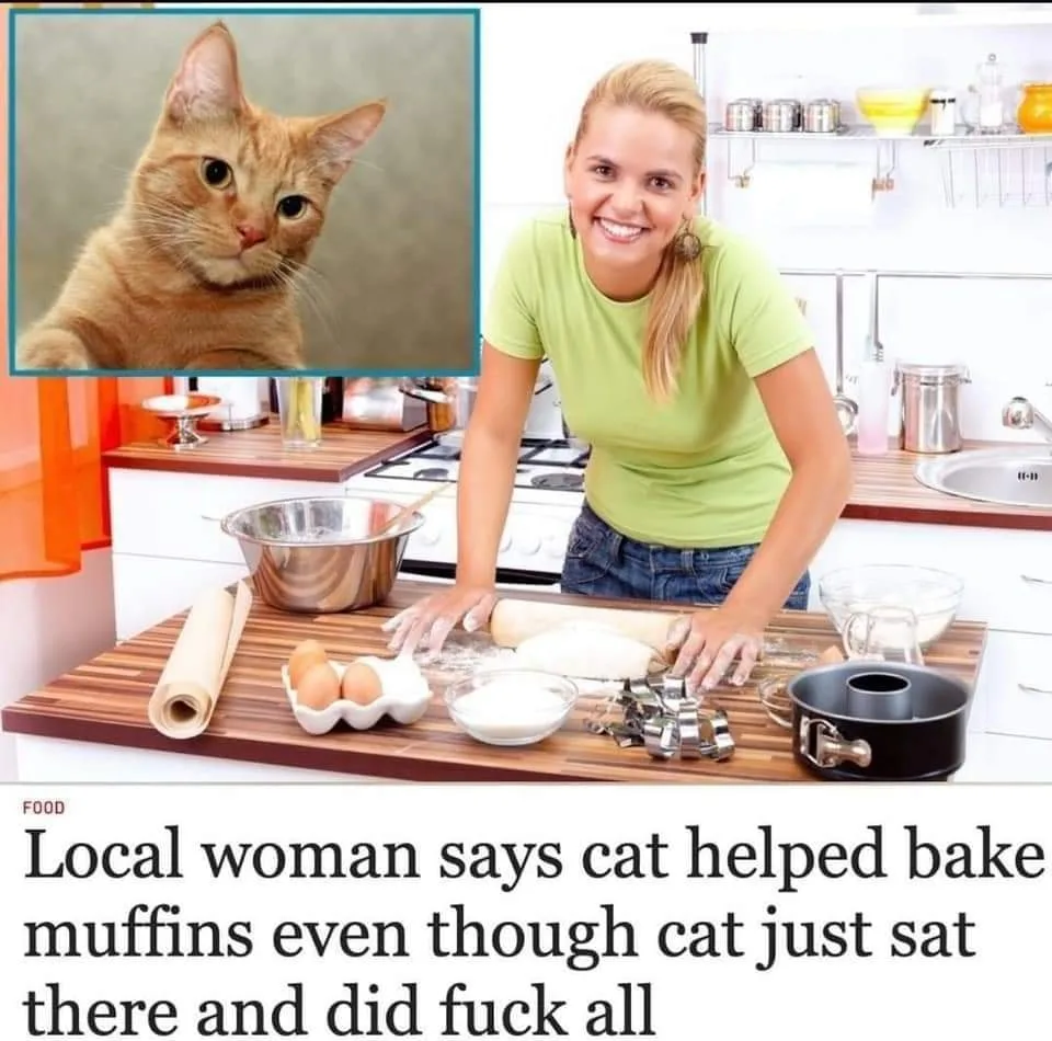 baking meme