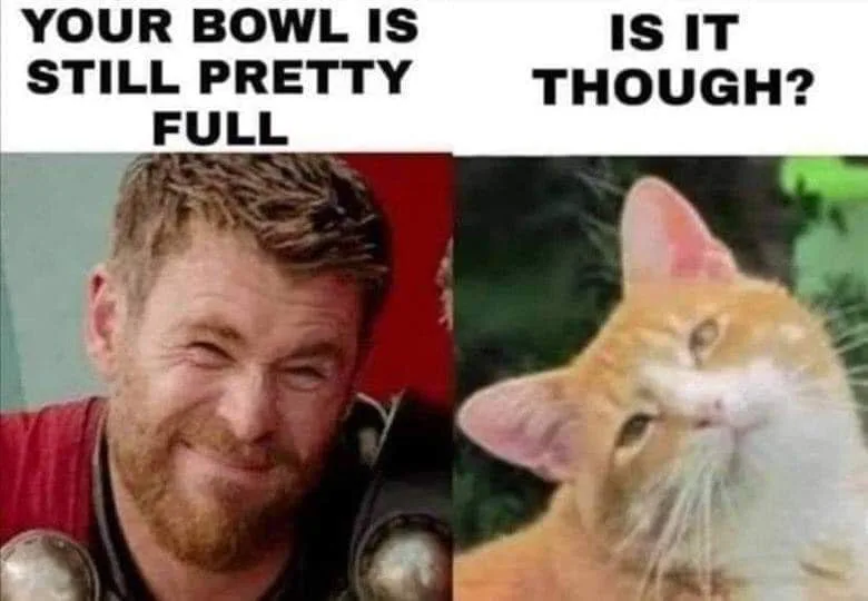 cat food meme