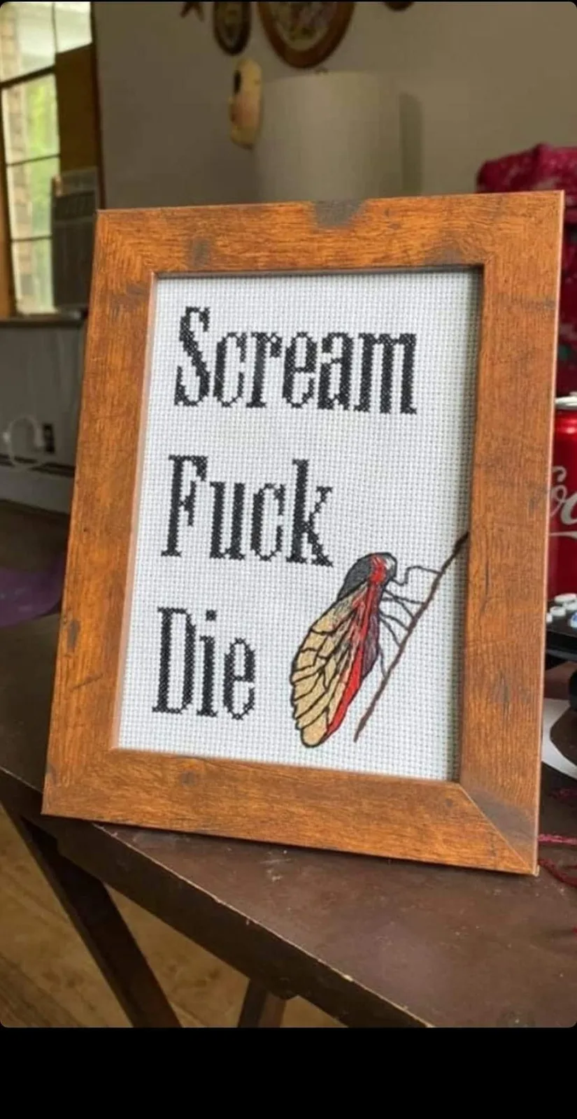 cicada meme