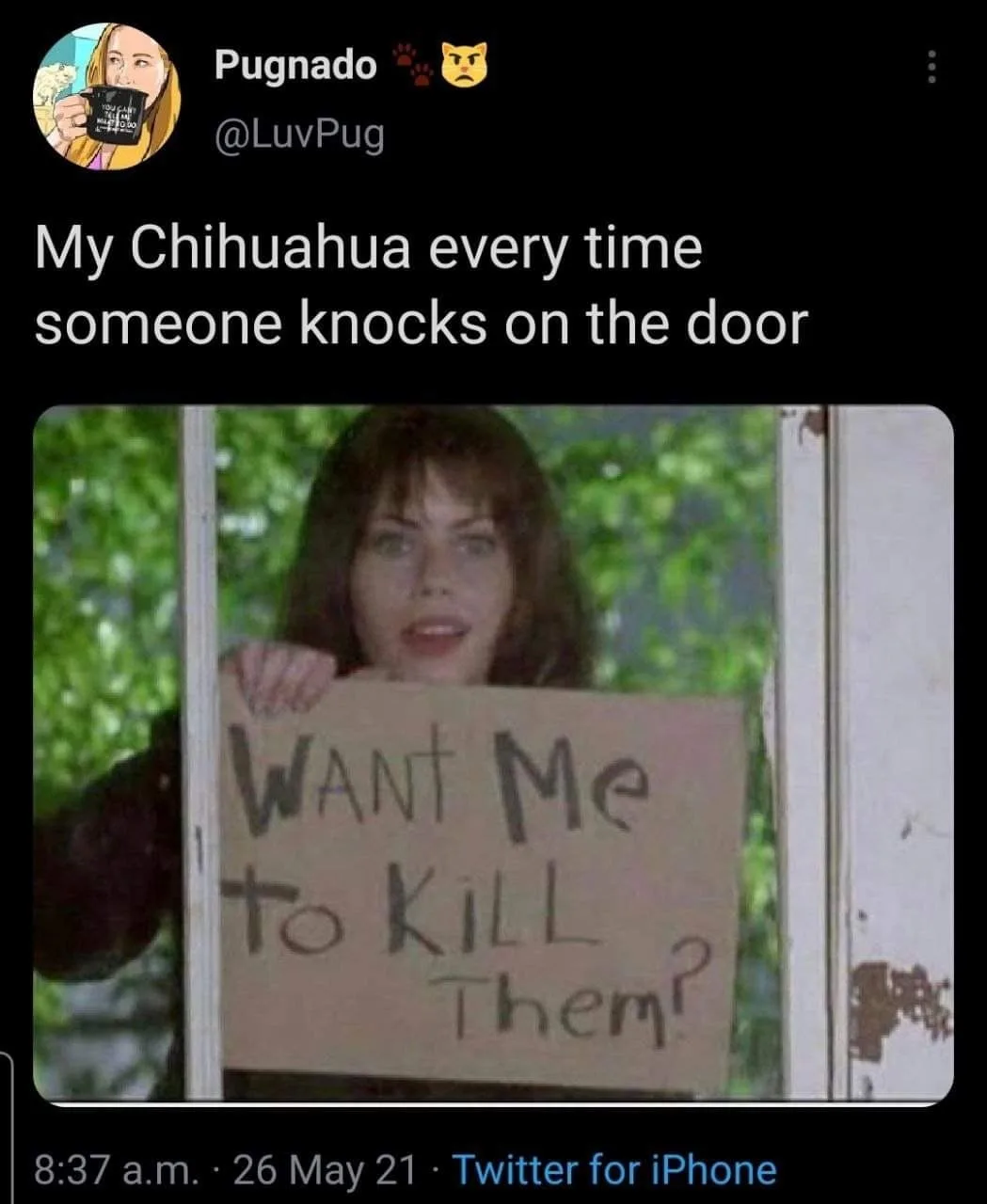 guard dog meme