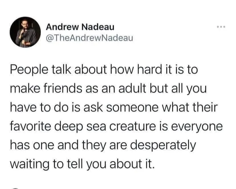 fish meme