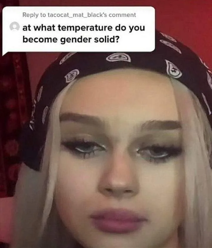 gender fluidity meme