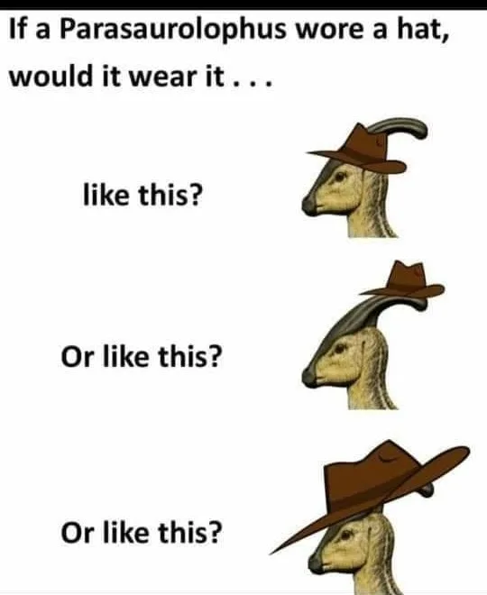 hat meme